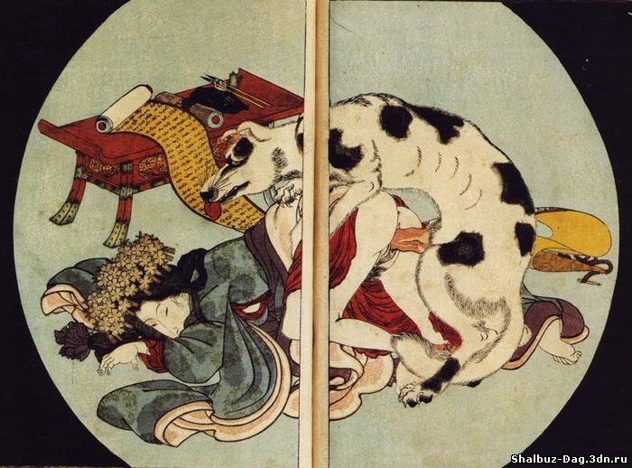 1837, Япония. . Koi no yatsufuji. . Женщина имеет секс с героем-собакой Я